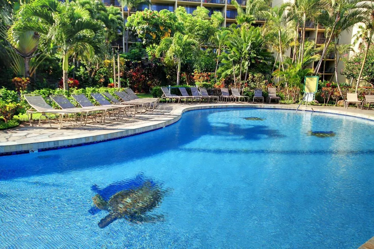 Apartment Kaanapali Shores 706
